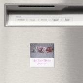 ベビーガール誕生の発表磁石 マグネット (インサイチュ (食洗機))