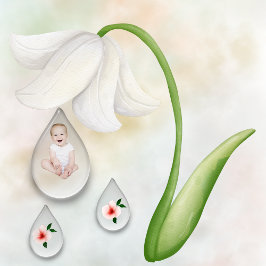 ベビーガール1srバースデーフラットカード