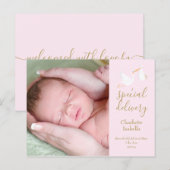 ベビーガール スペシャルデリバリー コウテンチョウ フォト ピンク 誕生 案内ポストカード (正面/裏面)
