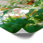 ベビーキツネ ポスター (角)