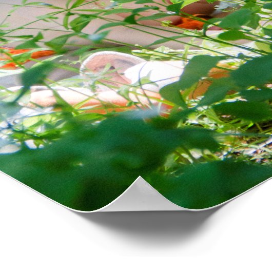 ベビーキツネ ポスター (角)