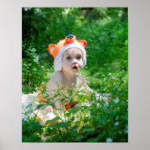 ベビーキツネ ポスター (正面)