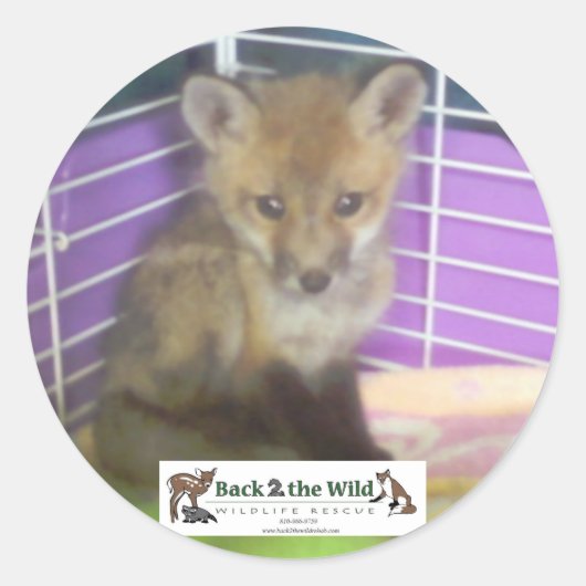 ベビーキツネ ラウンドシール (正面)
