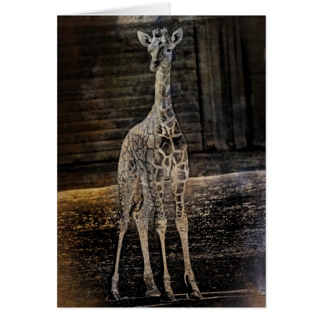 ベビーキリン (正面)