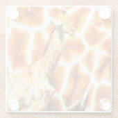 ベビーキリン ガラスコースター (裏面)