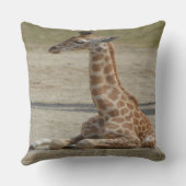 ベビーキリン クッション (裏面)