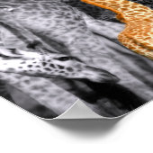 ベビーキリン ポスター (角)