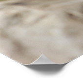 ベビーキリン ポスター (角)