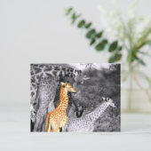 ベビーキリン ポストカード (スタンド正面)