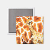 ベビーキリン マグネット (正面/裏面)