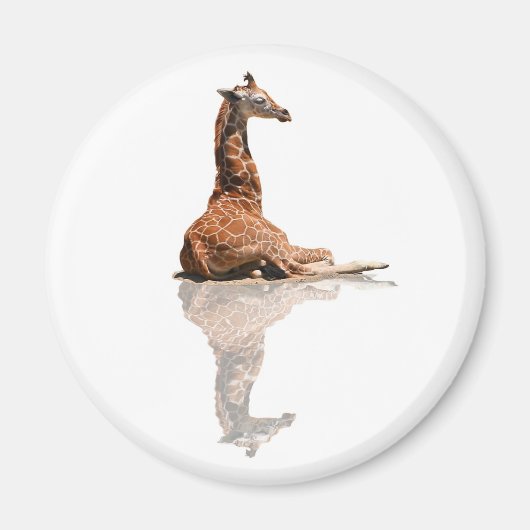 ベビーキリン マグネット (正面)