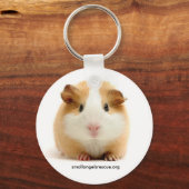 ベビーギニアピグキーチェーン キーホルダー (正面)