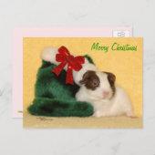 ベビーギニアピグメリークリスマスハガキ シーズンポストカード (正面/裏面)