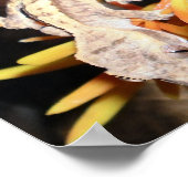 ベビークレステッドGeckoプリント/ポスター ポスター (角)