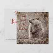 ベビーグラウンドホッグの白黒誕生日 (正面/裏面)