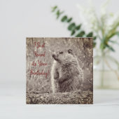 ベビーグラウンドホッグの白黒誕生日 (スタンド正面)