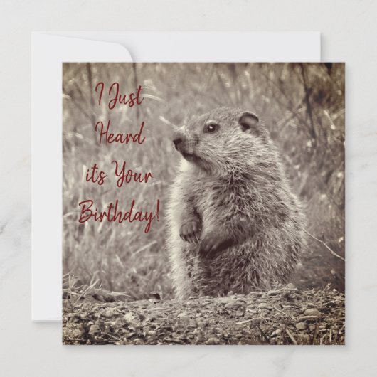 ベビーグラウンドホッグの白黒誕生日 (正面)