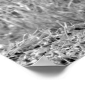 ベビーグラウンドホッグ（白黒） ポスター (角)