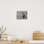 ベビーグラウンドホッグ（白黒） ポスター (キッチン)