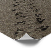 ベビーグリーンシーウミガメ ポスター (角)