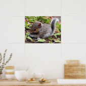 ベビーグレイ ポスター (キッチン)