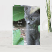 ベビーグレーキットン カード (裏面)