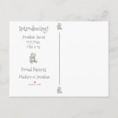 ベビーグレーニュートラルタイポグラフィ名統計 案内ポストカード (裏面)