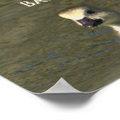 ベビーグースフォトポスター ポスター (角)