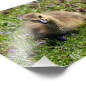 ベビーグース フォトプリント            (角)