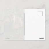 ベビーグース ポストカード (裏面)