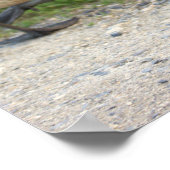 ベビーゲゼのポスター ポスター (角)