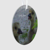 ベビーゲーゼフォトオーナメント オーナメント (正面)