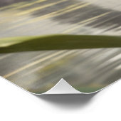 ベビーコアラバイザポンドー ポスター (コーナー)