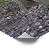 ベビーコアラベアハギス ポスター (角)