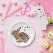 ベビーコットンテールウサギ ペーパープレート (パーティー)