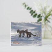 ベビーコピー、キツネ兄弟姉妹 ポストカード (スタンド正面)