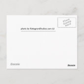 ベビーコピー、キツネ兄弟姉妹 ポストカード (裏面)