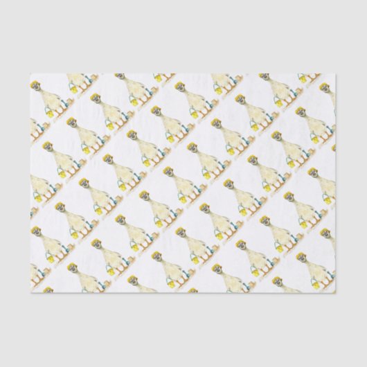 ベビーゴスリングオンビーチ 薄葉紙 (正面)