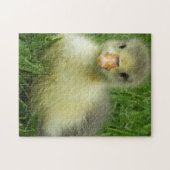 ベビーゴスリング ジグソーパズル (横)