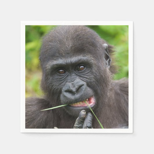 ベビーゴリラの可愛さ スタンダードカクテルナプキン (正面)
