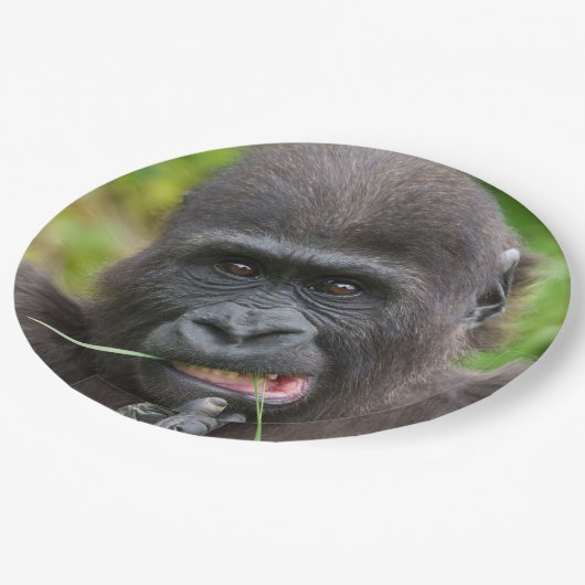 ベビーゴリラの可愛さ ペーパープレート (アングル)