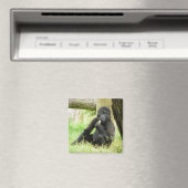 ベビーゴリラスナック マグネット (インサイチュ (食洗機))