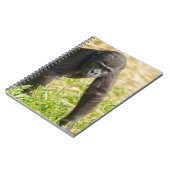 ベビーゴリラ ノートブック (左側)