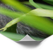 ベビーゴリラ ポスター (角)