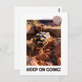 ベビーサルカタのハイキングセドナレッドロックスアリゾナ ポストカード (正面/裏面)