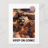 ベビーサルカタのハイキングセドナレッドロックスアリゾナ ポストカード (正面)