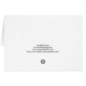 ベビーサンドヒルクレーン（親あり） (裏面横)