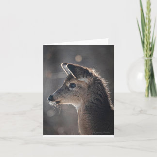 ベビーシカ，耳が一番可愛く、集中  カード