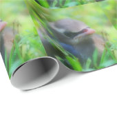 ベビーシダーワキシングバード自然 ラッピングペーパー (ロールコーナー)