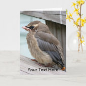 ベビーシダーワックスウィング鳥自然写真カード カード (黄色い花)